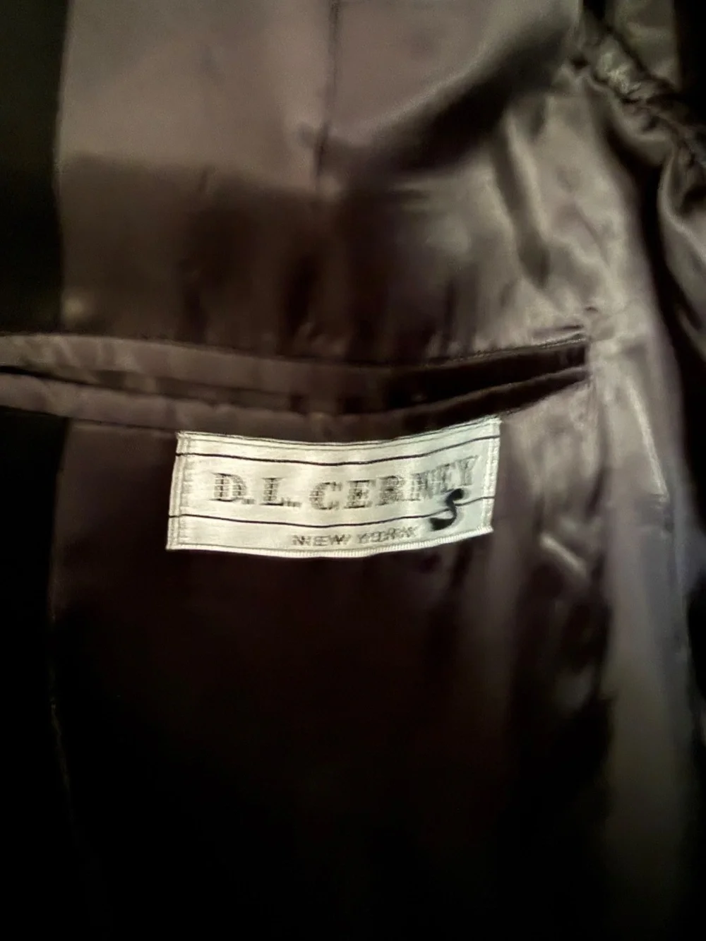 46 L Vintage D.L. Cerney Men’s Big and Tall Blazer from Sony Warehouse